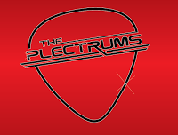 The Plectrums Wedding band 1081179 Image 2